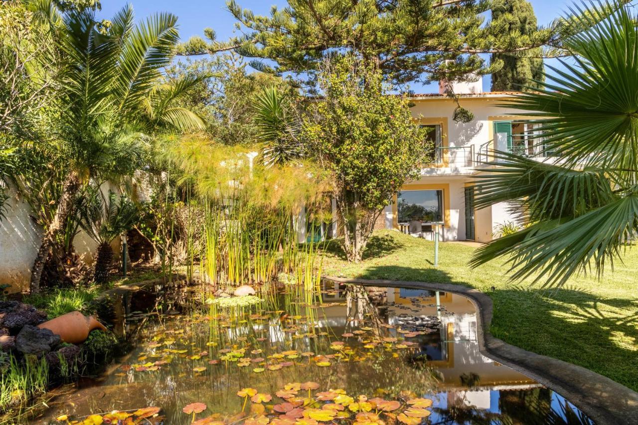 Villa Echium T1 Caniço Exterior foto
