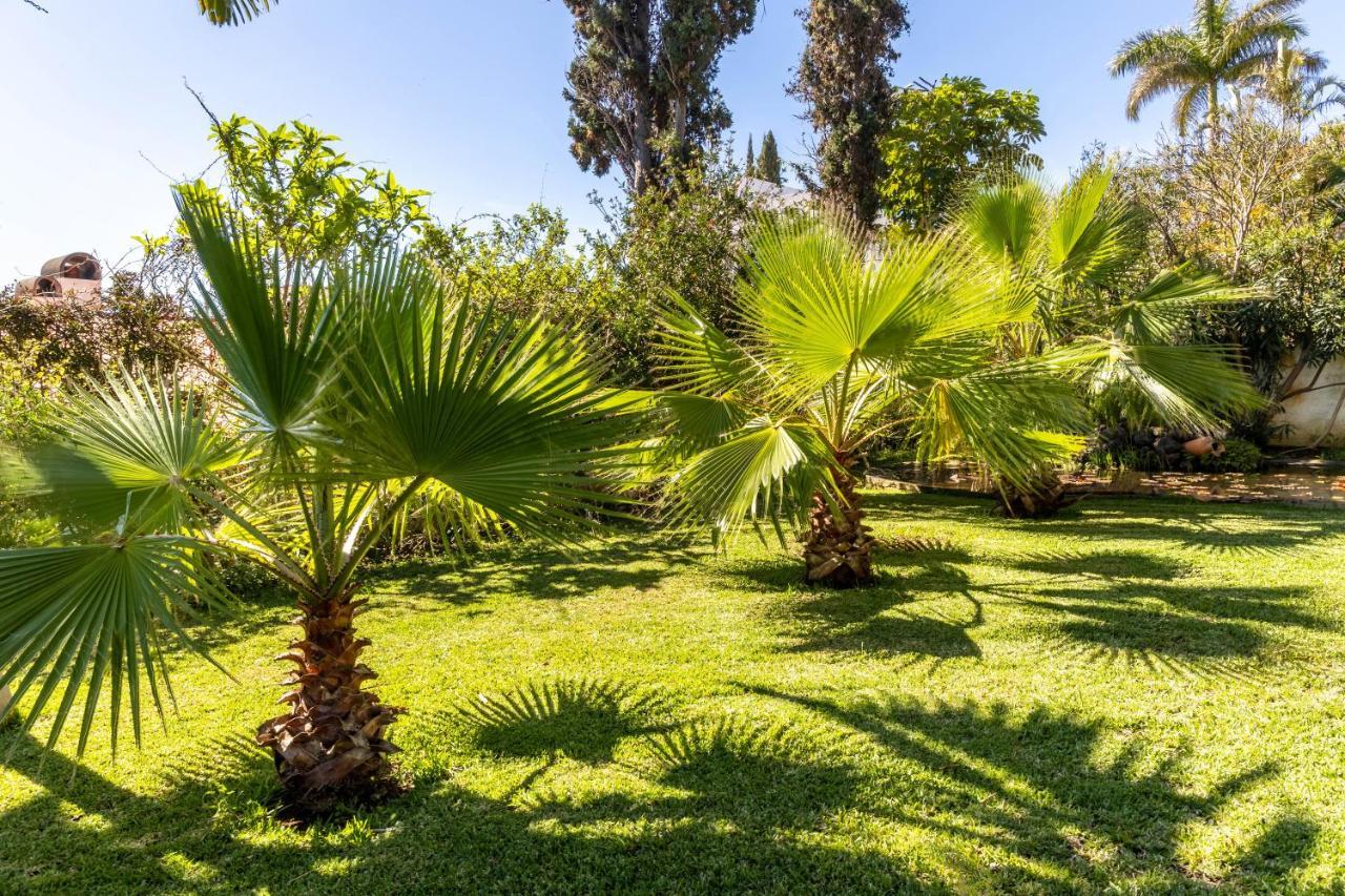 Villa Echium T1 Caniço Exterior foto